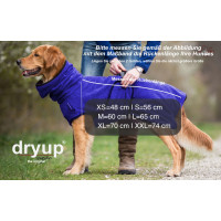 dryup cape blueberry