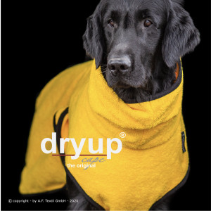 dryup cape yellow