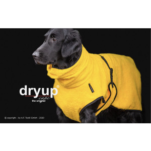 dryup cape yellow