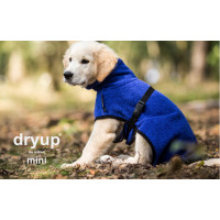 dryup cape blueberry Mini