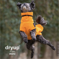 dryup cape clementine Mini