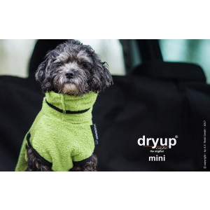 dryup cape kiwi  Mini