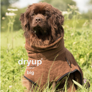 dryup cape Big brown