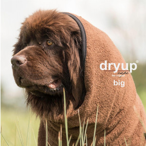dryup cape Big brown