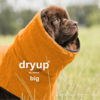dryup cape Big clementine