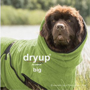 dryup cape Big kiwi