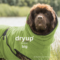 dryup cape Big kiwi