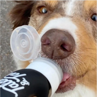 Mmh Schleck Schleck - Futtertube für Hunde im Paket mit Nassfutter zum Befüllen