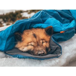 LY Sleeping Bag Hunde