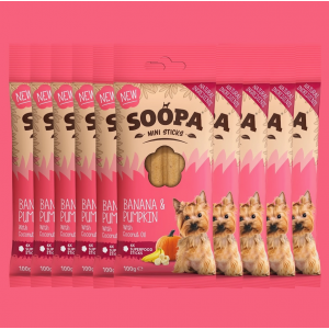 Soopa Zahnpflege Mini-Sticks mit Bananen und Kürbis (4 Sticks)